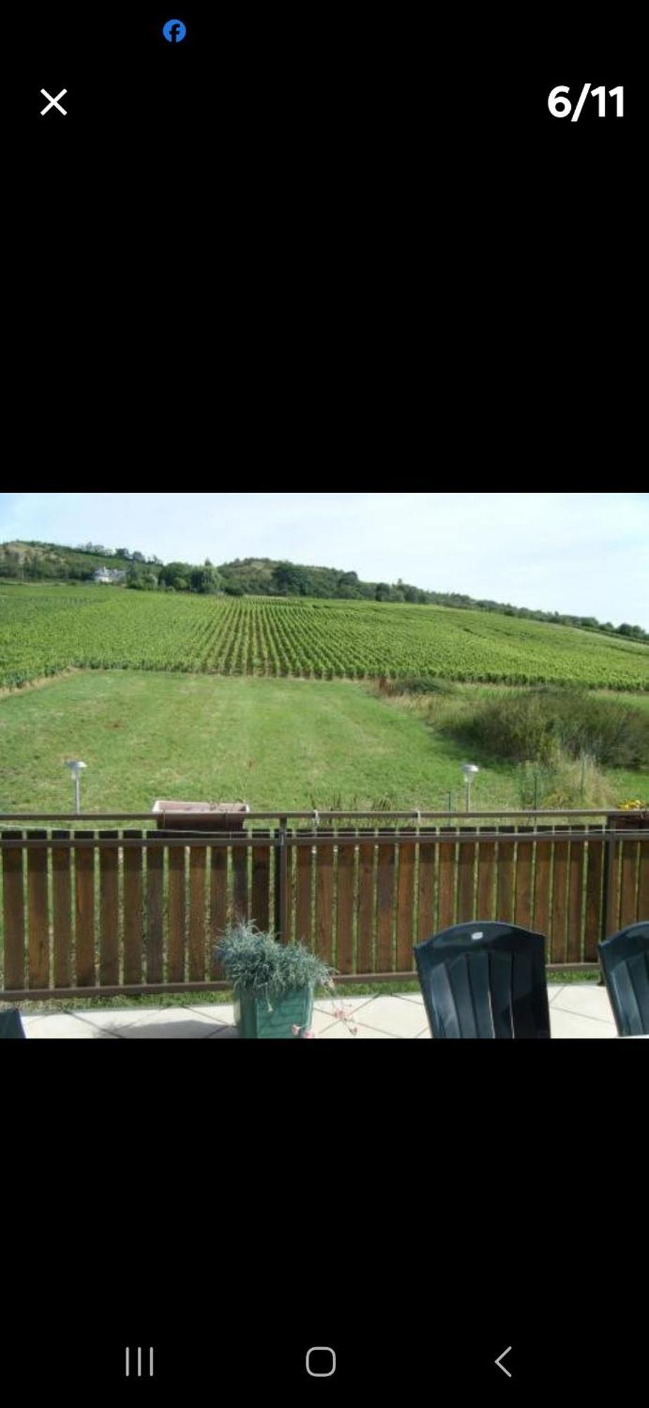 Maison Au Milieu Des Vignes Moroges Εξωτερικό φωτογραφία